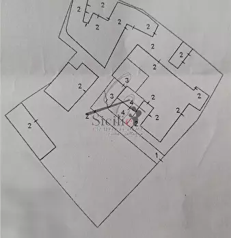 Foto annuncio 18