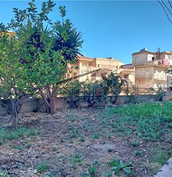 Foto annuncio 19