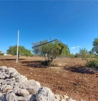 Foto annuncio 18
