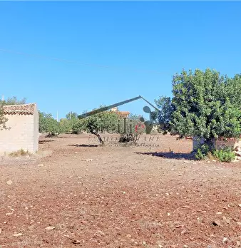Foto annuncio 19