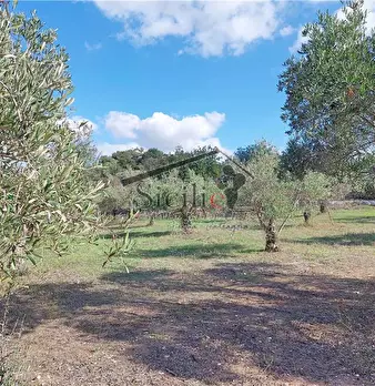 Foto annuncio 16