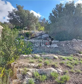 Foto annuncio 17