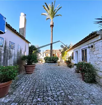 Foto annuncio 19