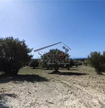 Foto annuncio 16