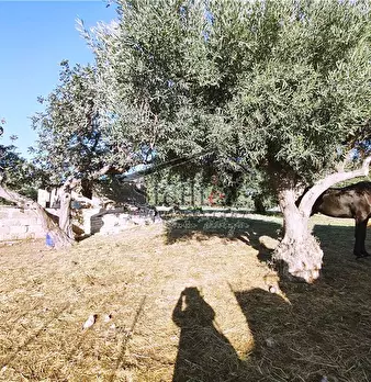 Foto annuncio 17
