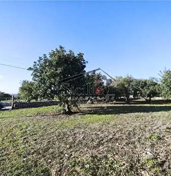 Foto annuncio 18
