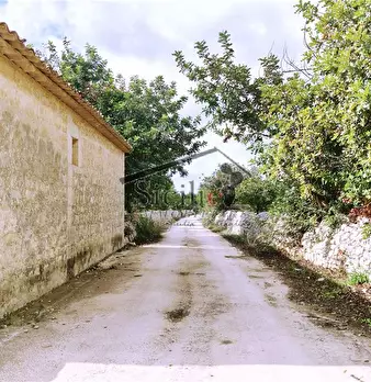 Foto annuncio 16