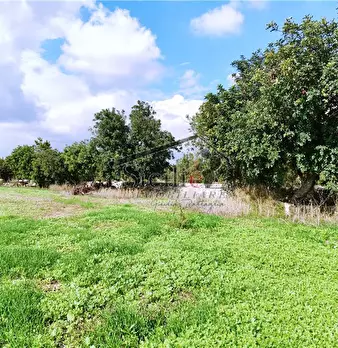 Foto annuncio 18