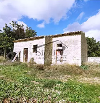 Foto annuncio 19