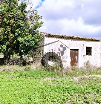 Foto annuncio 20