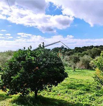 Foto annuncio 19