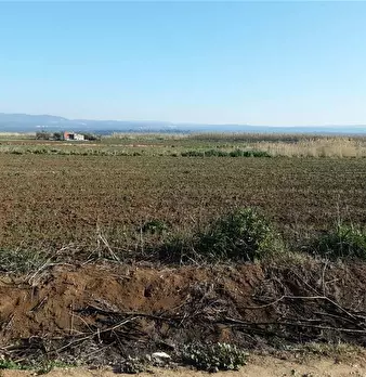 Foto annuncio 6