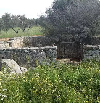 Foto annuncio 6
