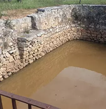 Foto annuncio 7