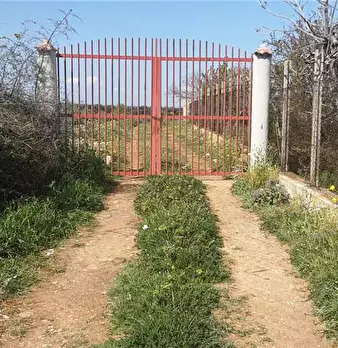 Foto annuncio 8