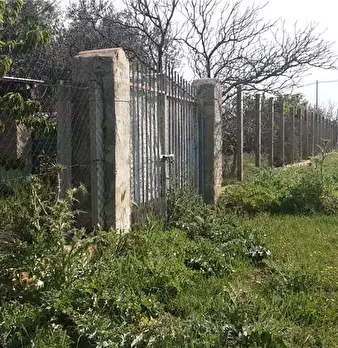 Foto annuncio 10