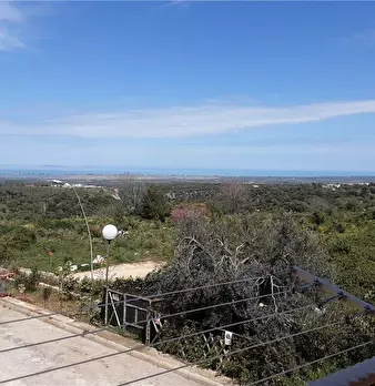 Foto annuncio 9