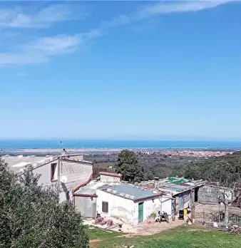 Foto annuncio 9