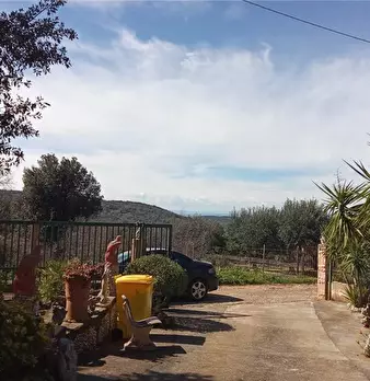 Foto annuncio 10