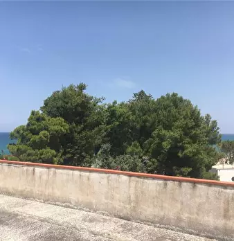 Foto annuncio 7