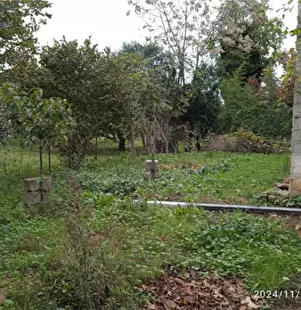 Foto annuncio 10