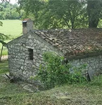 Foto annuncio 7