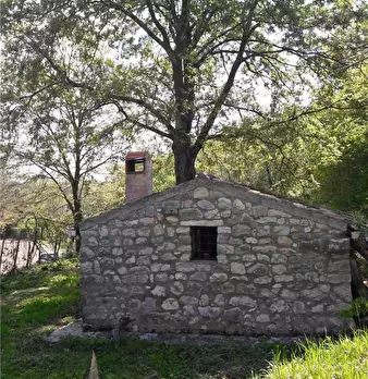 Foto annuncio 8