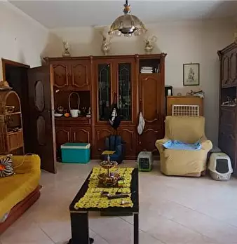 Foto annuncio 7