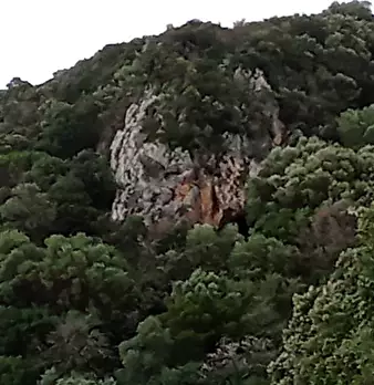 Foto annuncio 7