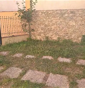 Foto annuncio 8