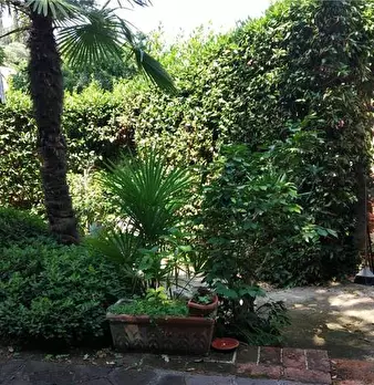 Foto annuncio 7