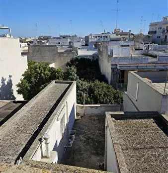 Foto annuncio 7