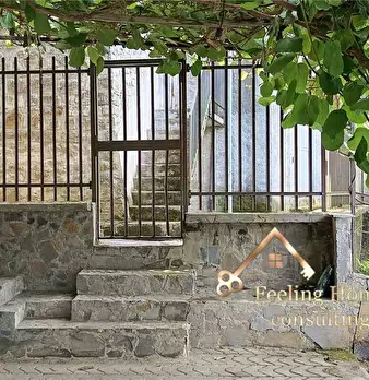 Foto annuncio 15
