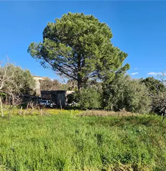 Foto annuncio 6