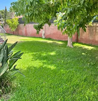 Foto annuncio 10