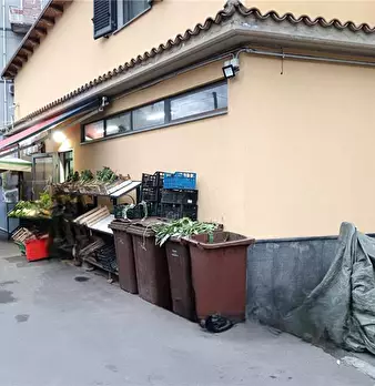 Foto annuncio 6