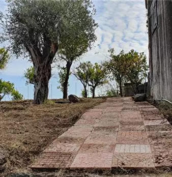 Foto annuncio 7