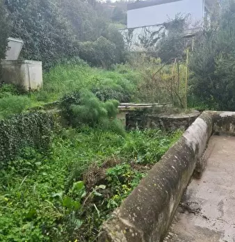 Foto annuncio 8