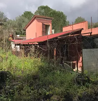 Foto annuncio 10