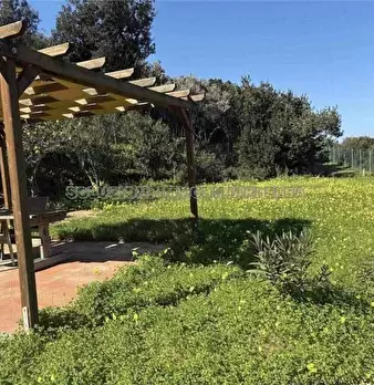Foto annuncio 11