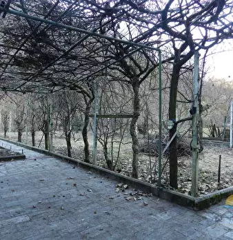 Foto annuncio 18