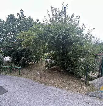 Foto annuncio 17