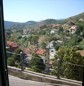 Foto annuncio 7