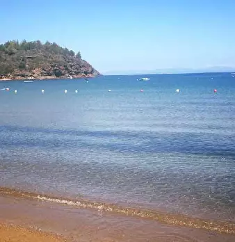 Foto annuncio 7