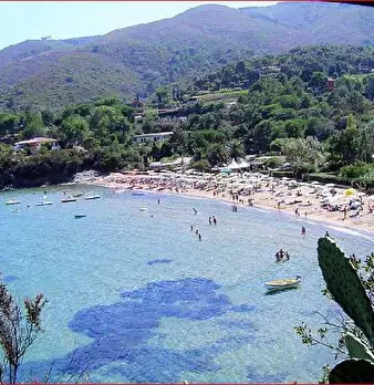 Foto annuncio 9