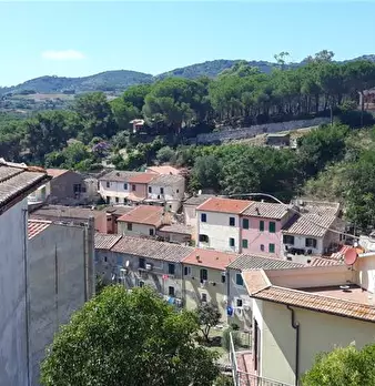 Foto annuncio 14