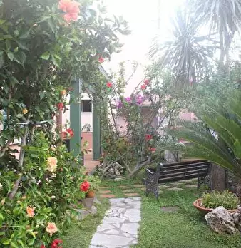 Foto annuncio 8