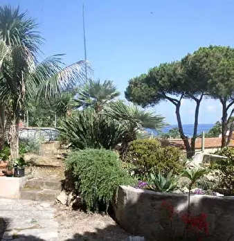 Foto annuncio 10