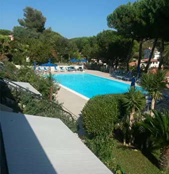 Foto annuncio 9
