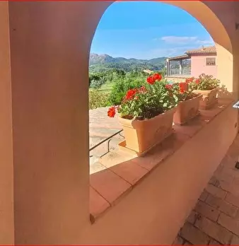 Foto annuncio 7